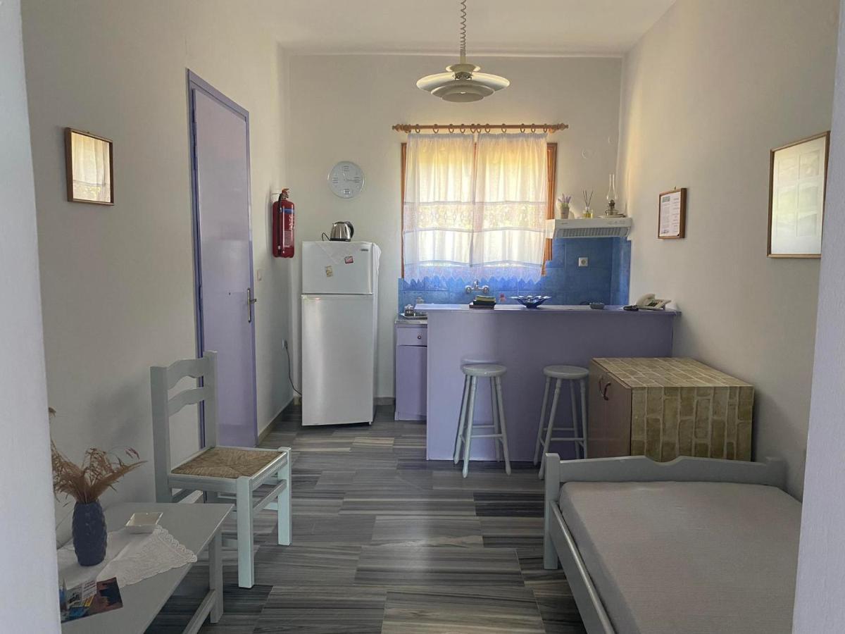 Stelios Zalonis Apartments Tínos エクステリア 写真