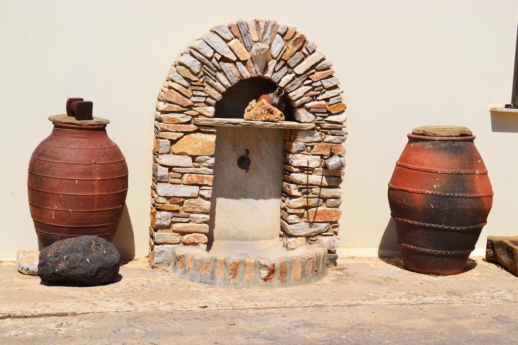 Stelios Zalonis Apartments Tínos エクステリア 写真
