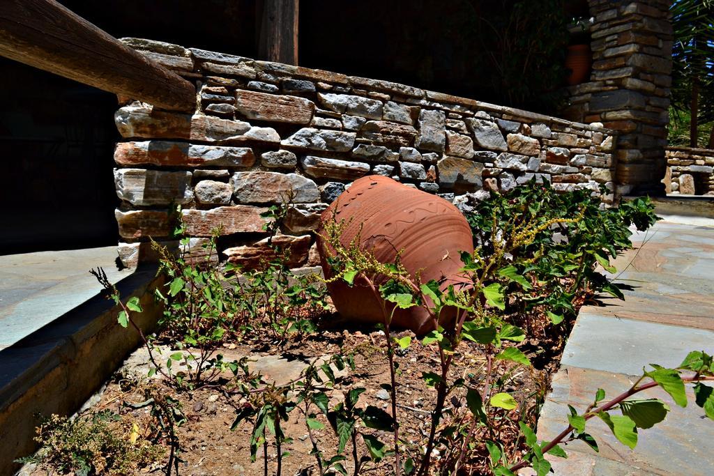 Stelios Zalonis Apartments Tínos エクステリア 写真